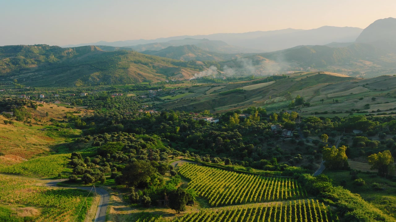 Vista Aerea di Lussureggianti Vigneti e Uliveti in una Valle Rurale