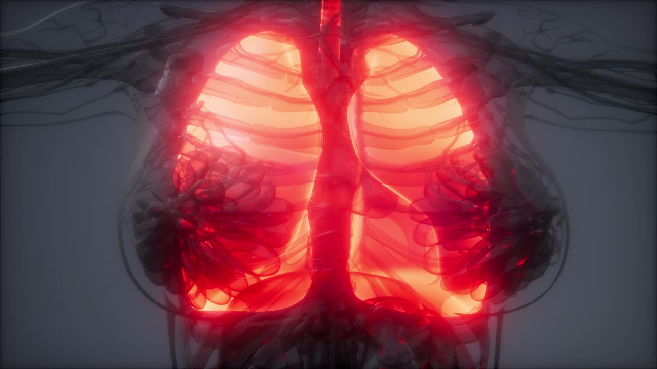 examen radiológico de los pulmones humanos