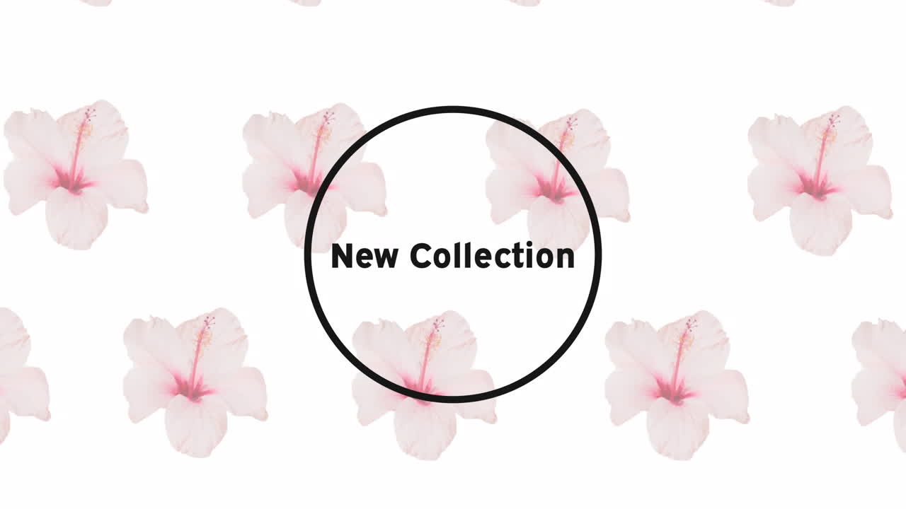 ⁇ 색 배경에 꽃 위에 새로운 컬렉션 텍스트의 애니메이션