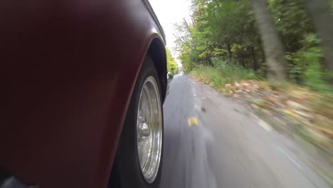 tiro de punto de vista bajo en coche en movimiento en carretera pavimentada a través de una zona boscosa