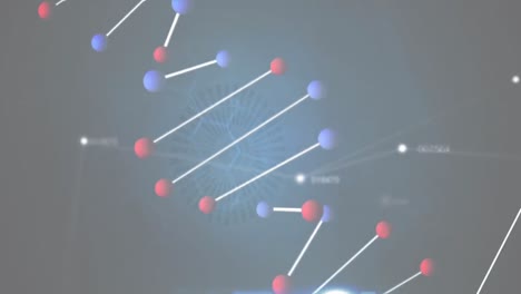 animación del giro de la cadena de adn y los números que cambian con la red de conexiones
