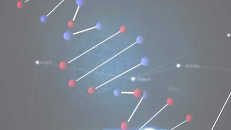 animation of dna strand spinning and numbers changing with network of connections