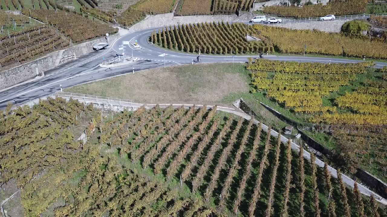 vista aérea de una carretera en los viñedos de lavaux, bicicletas y coches circulan por la carretera, vaud, suiza