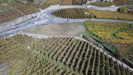 Aerial-view-of-a-road-in-the-Lavaux-vineyards,-bikes-and-Cars-drive-on-the-road,-Vaud,-Switzerland