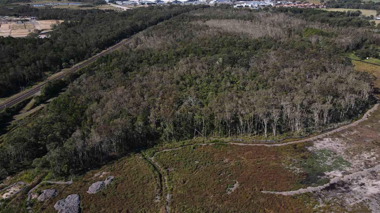 Aerial View of Dense Forest with Walking Path and Railway