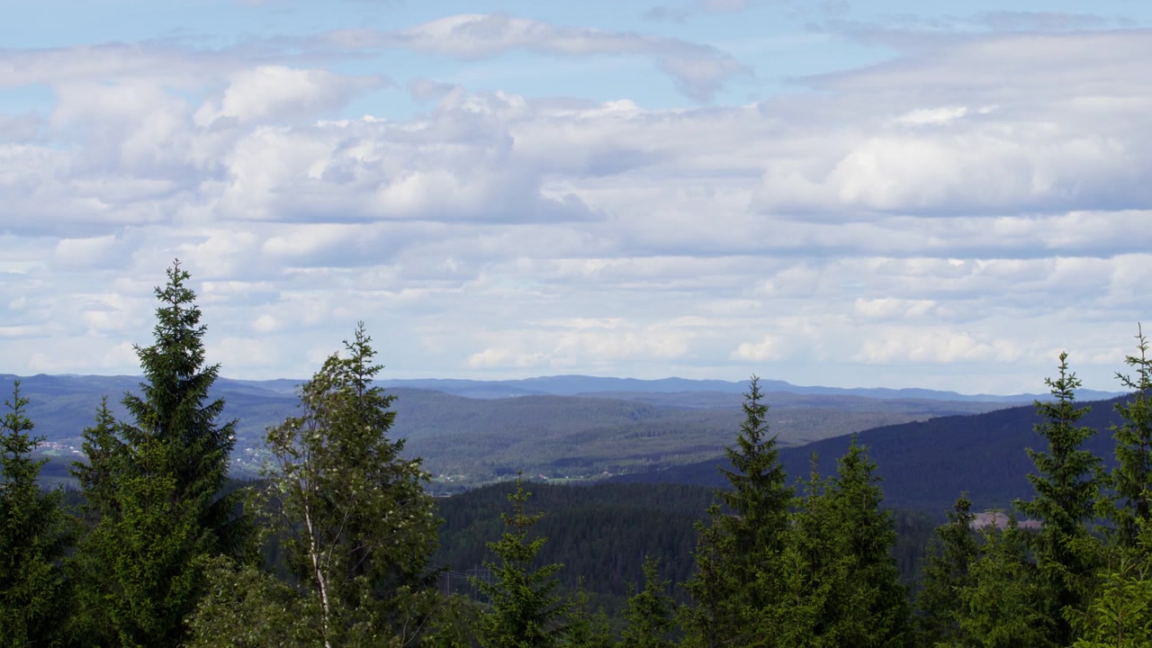 Mixed conifers frame a wide view of low Nordic ridges under a sky of scattered clouds, with subtle movement in the treetops adding gentle life to the static landscape.