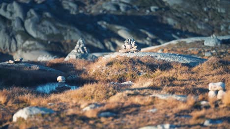 montones de piedras esparcidos por el paisaje del norte