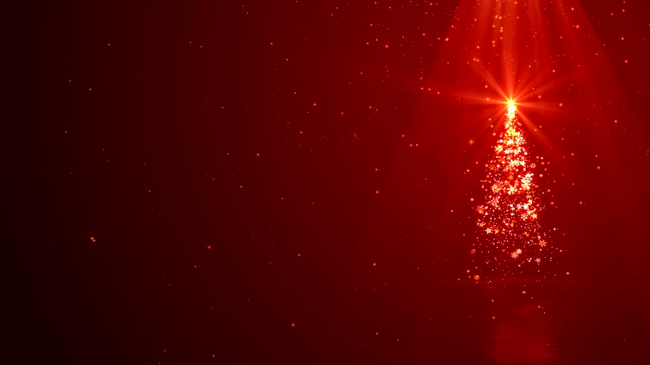 크리스마스 트리 라이트 배경 루프는 텍스트를 위한 장소입니다.