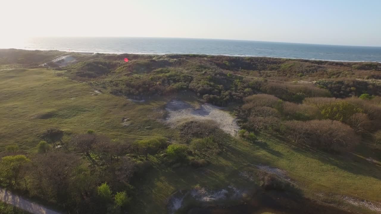 antena: la reserva natural de dunas de oostkapelle con potros pastando