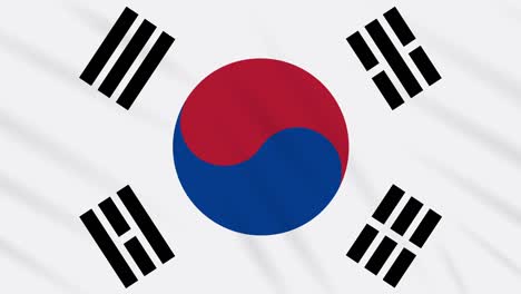 bandera de corea del sur agitando tela, bucle de fondo