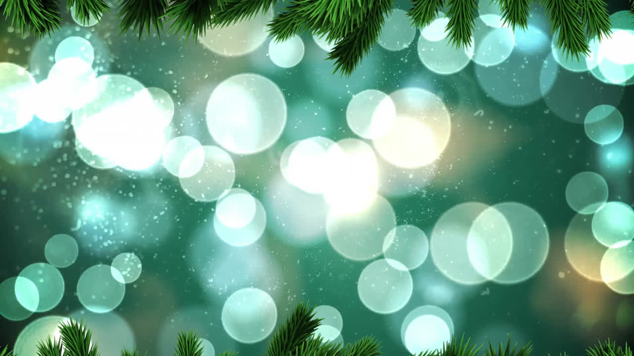 Animação Bokeh de Luzes de Natal sobre Galhos de Pinheiro em Fundo Verde