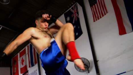 boxer performing a boxing stance