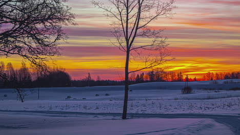 Impresionante-Lapso-De-Tiempo-Invernal-De-Campos-Nevados-Brillando-Con-Una-Vívida-Puesta-De-Sol-Naranja