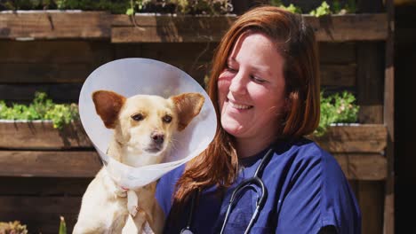dog in a shelter with volunteer