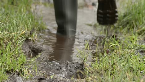 caminando por un humedal con botas wellington