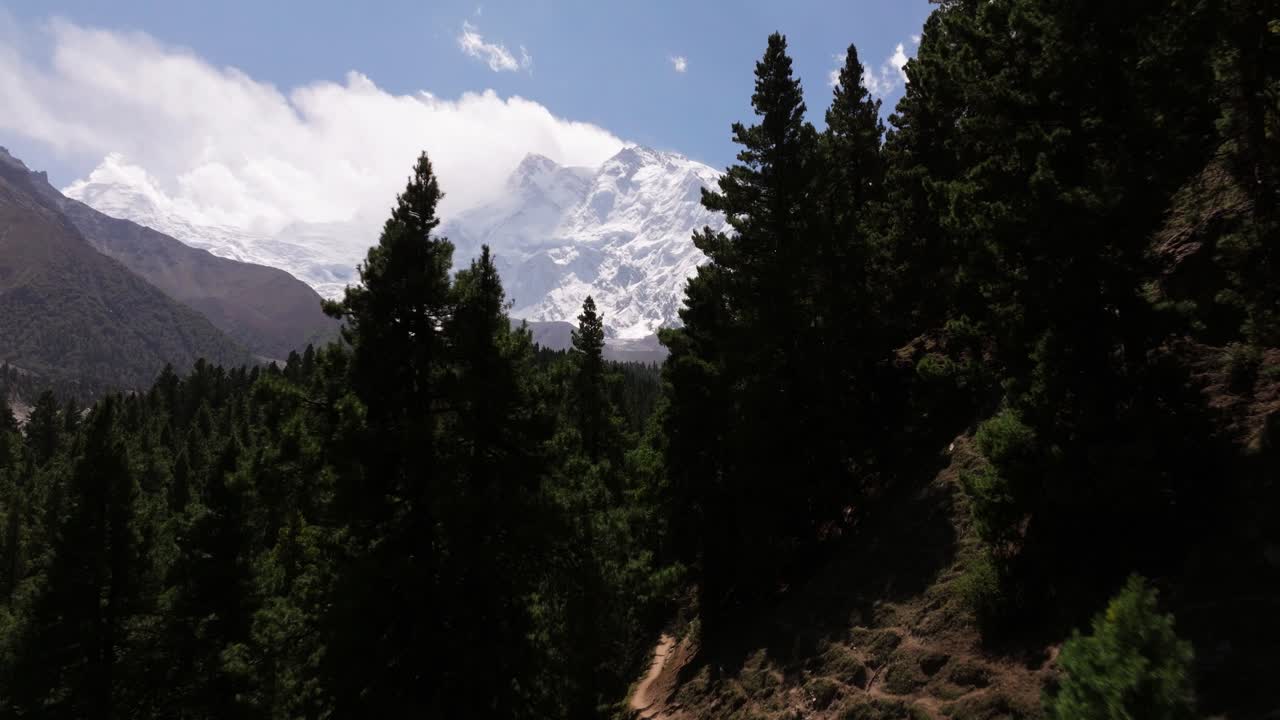 Drone Flying through Pine Forest Reveals Amazing Nanga Parbat Mountain. Pakistan