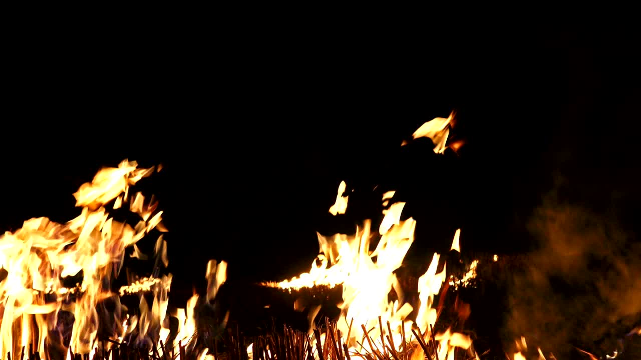 추상적인 불타는 화재 비디오 루프, 검은 바탕에서 알파 매트.