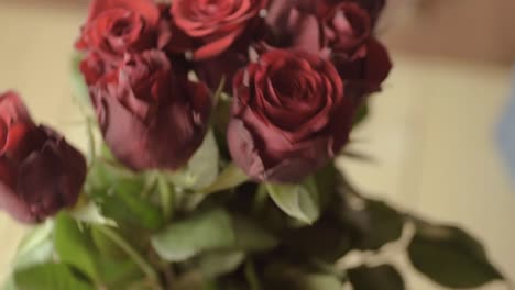 hands placing bouquet of red roses in a vase