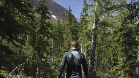 Hiker-walking-descending-through-pine-trees-close-up-Rockies,-Kananaskis,-Alberta-Canada