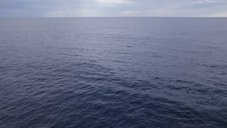 Calm-Seascape-With-Humpback-Whales-Breathing-Through-Blow-Holes-While-Swimming