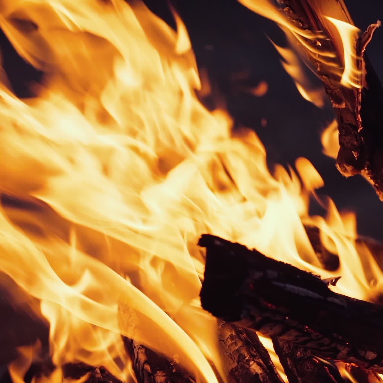 Bonfire that burns on a dark background, wood burning flame.
