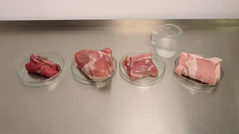 fresh portions of meat lying on a metal table