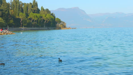 profile view of medieval sirmione castle on lake garda, italy with clear blue water during daytime.