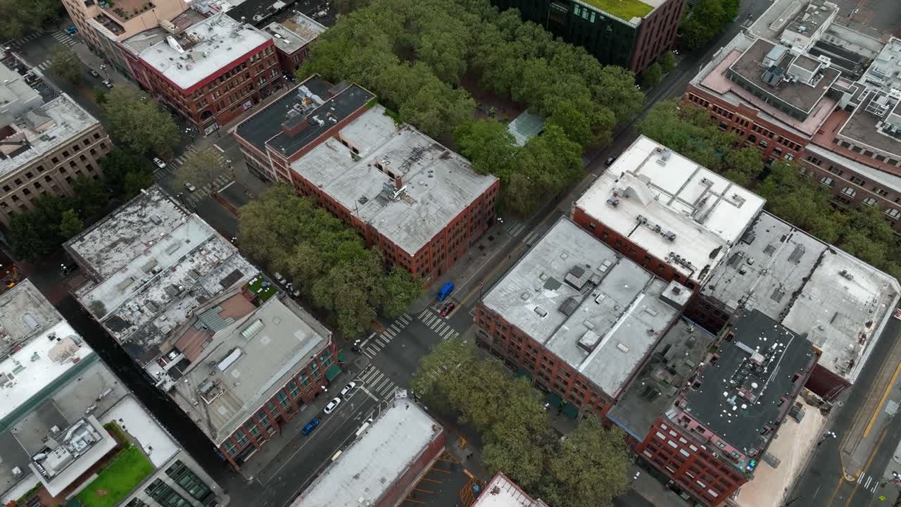 Aerial view of trees interspersed in Pioneer Square's unique Seattle neighborhood