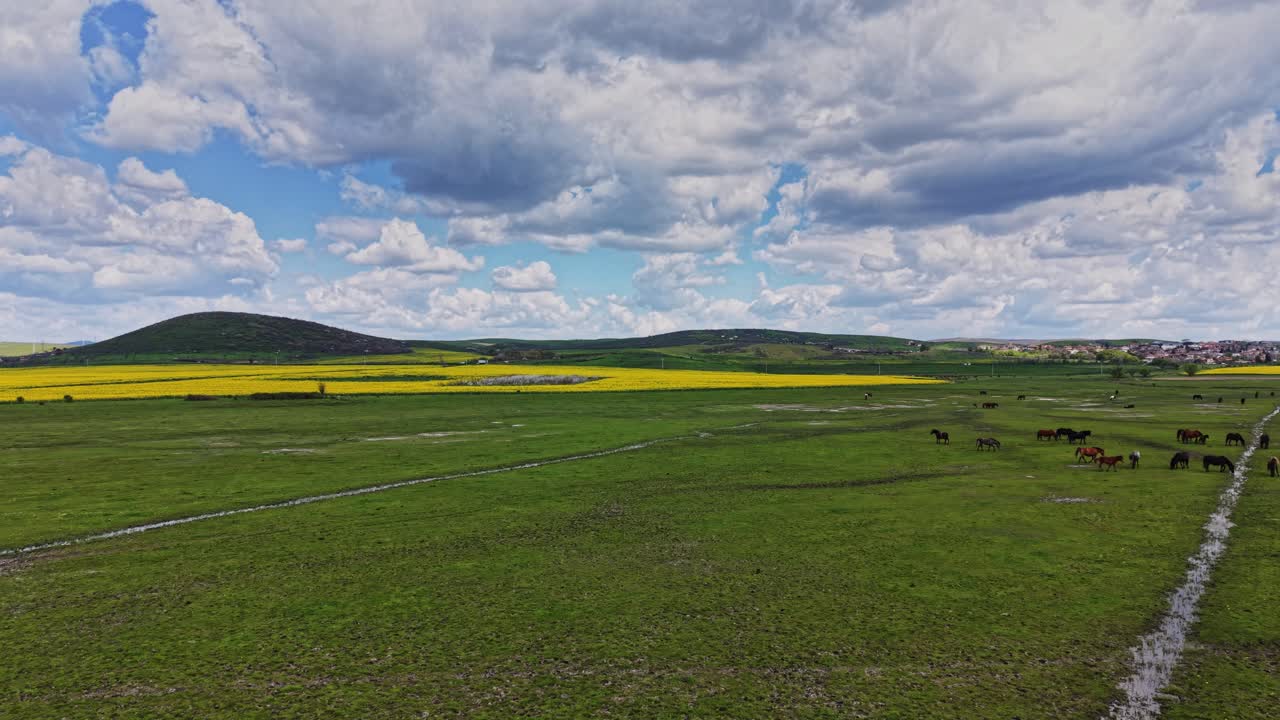 Weites Feld mit gelben Blumen und Hügeln unter bewölktem Himmel im Frühling