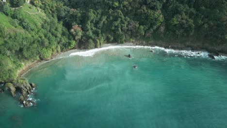 vista de drones de olas rompiendo en una playa junto a un acantilado en la isla caribeña de tobago