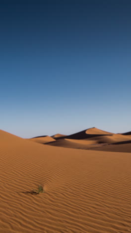 dunes-in-sahara-desert,-morocco-in-vertical