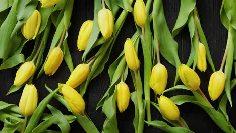 yellow tulips placed on black table  top view with flat lay