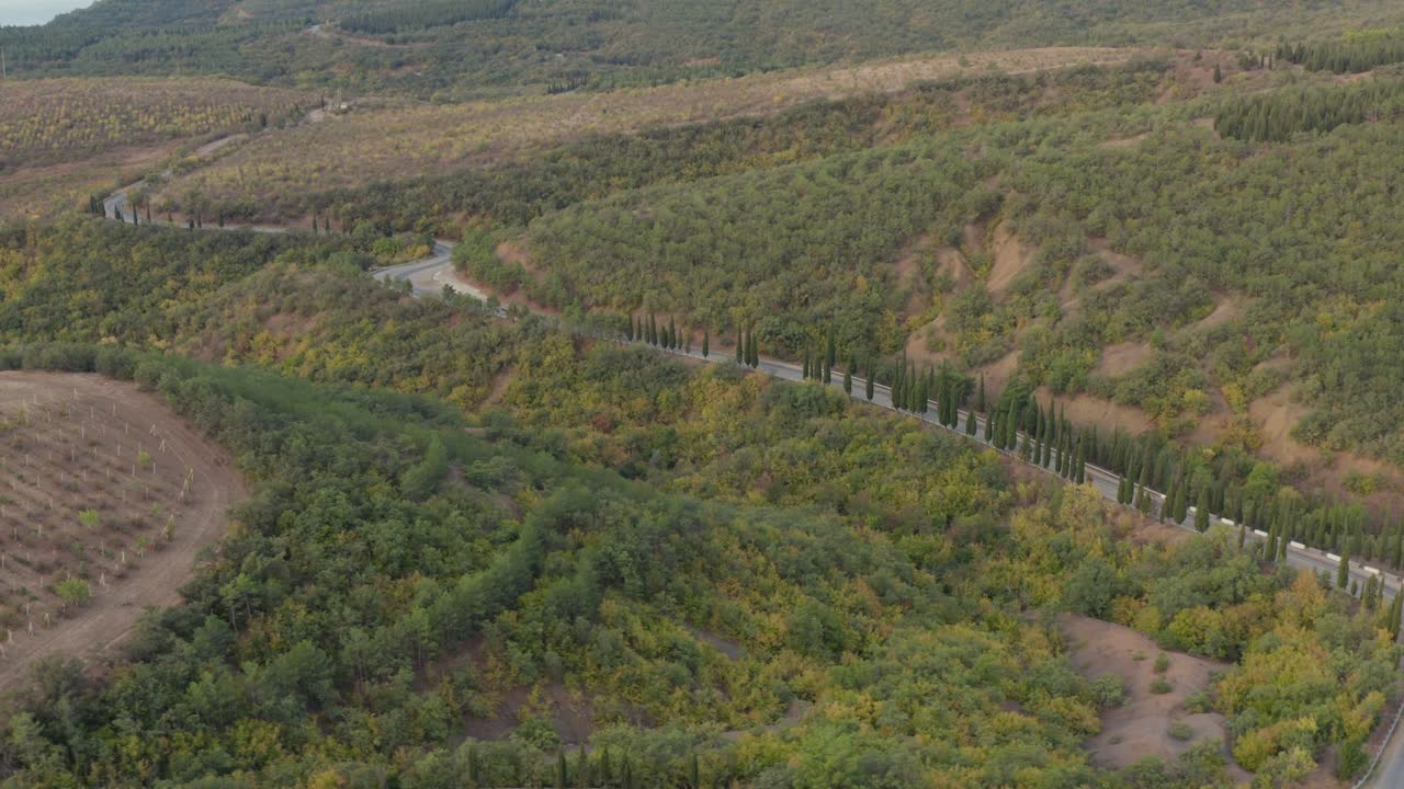 vista aérea de conducción de automóviles en un paisaje costero