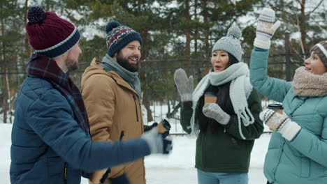 friends enjoying winter day