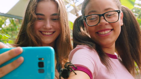 Vogelspinne,-Mädchen-Und-Freunde-Mit-Telefon-Selfie