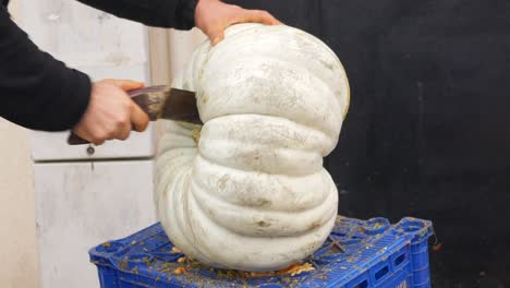 man cutting a large pumpkin