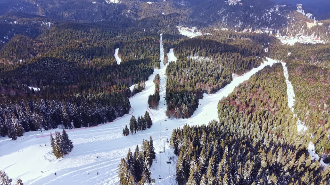 Paesaggio innevato in inverno con piste da sci e alberi ad alto fusto in montagna durante il giorno.