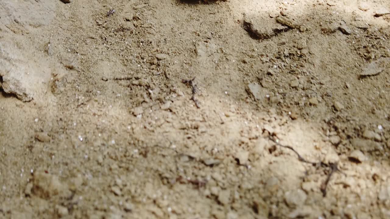 모래 언덕의 바닥에서 꼭대기까지 매우 자세하게 기록합니다.