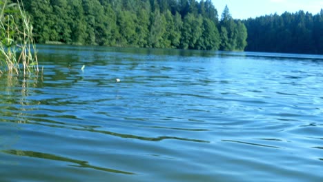 stone skipping water