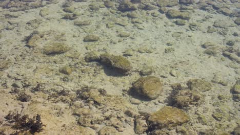 rocks of dead coral swept by waves at white sand beach