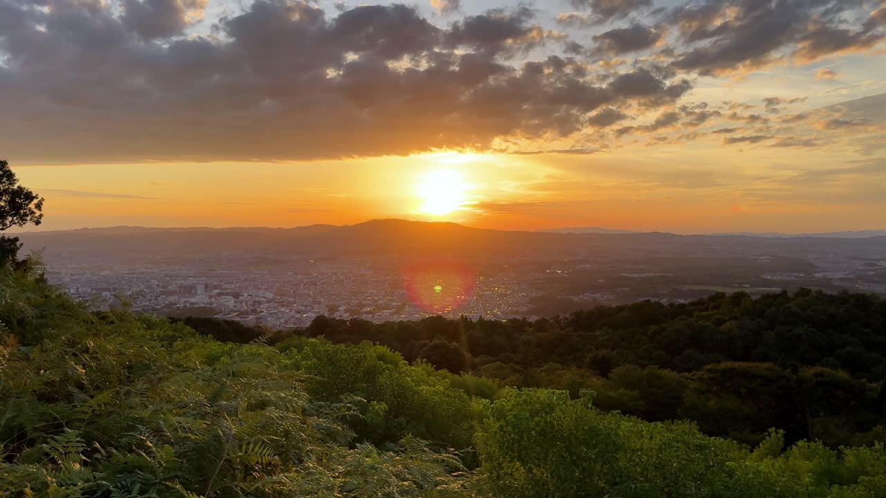 Beautiful sunset over lush greenery at Nara Mount Wakakusa