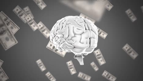 Human-brain-with-dollar-bills-in-the-background