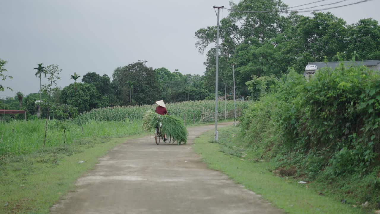 Woman Carrying Hay on Bicycle in Rural Vietnam