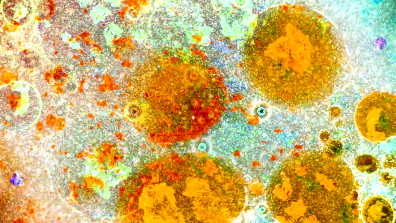 el rizado de las pinturas