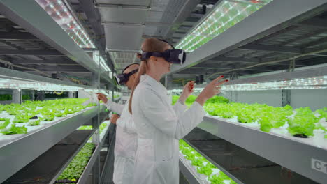 the use of virtual reality glasses in a modern farm scientists lead the process of genetic modification of plants.