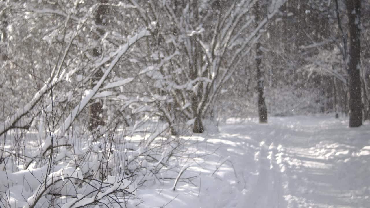 눈이 내리는 겨울의 풍경: 슈퍼 슬로 모션에서 추상적인 겨울 크리스마스 배경