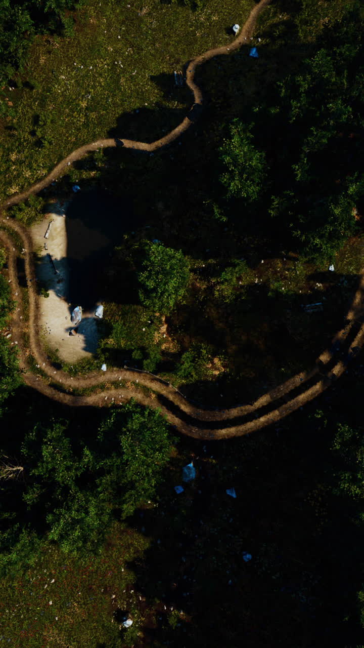 Aerial View of a Forest Path
