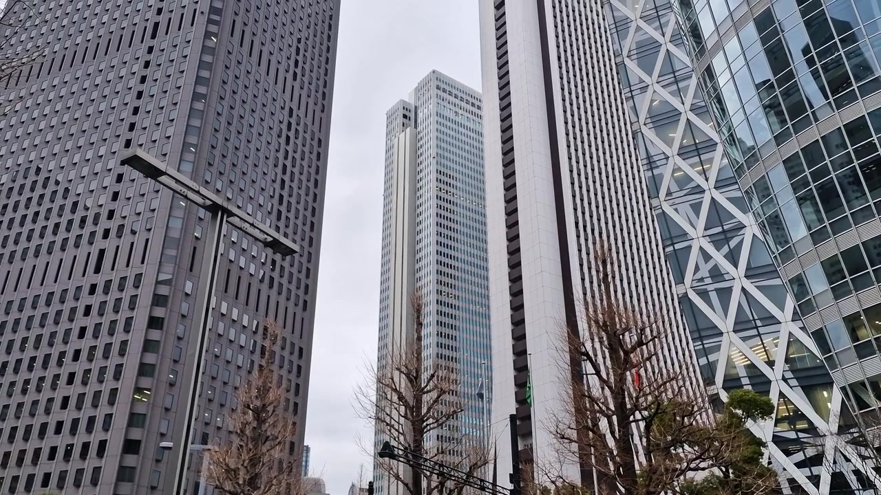 日本、東京。新宿都心の近代的なオフィス高層ビル群、金融街のタワー。