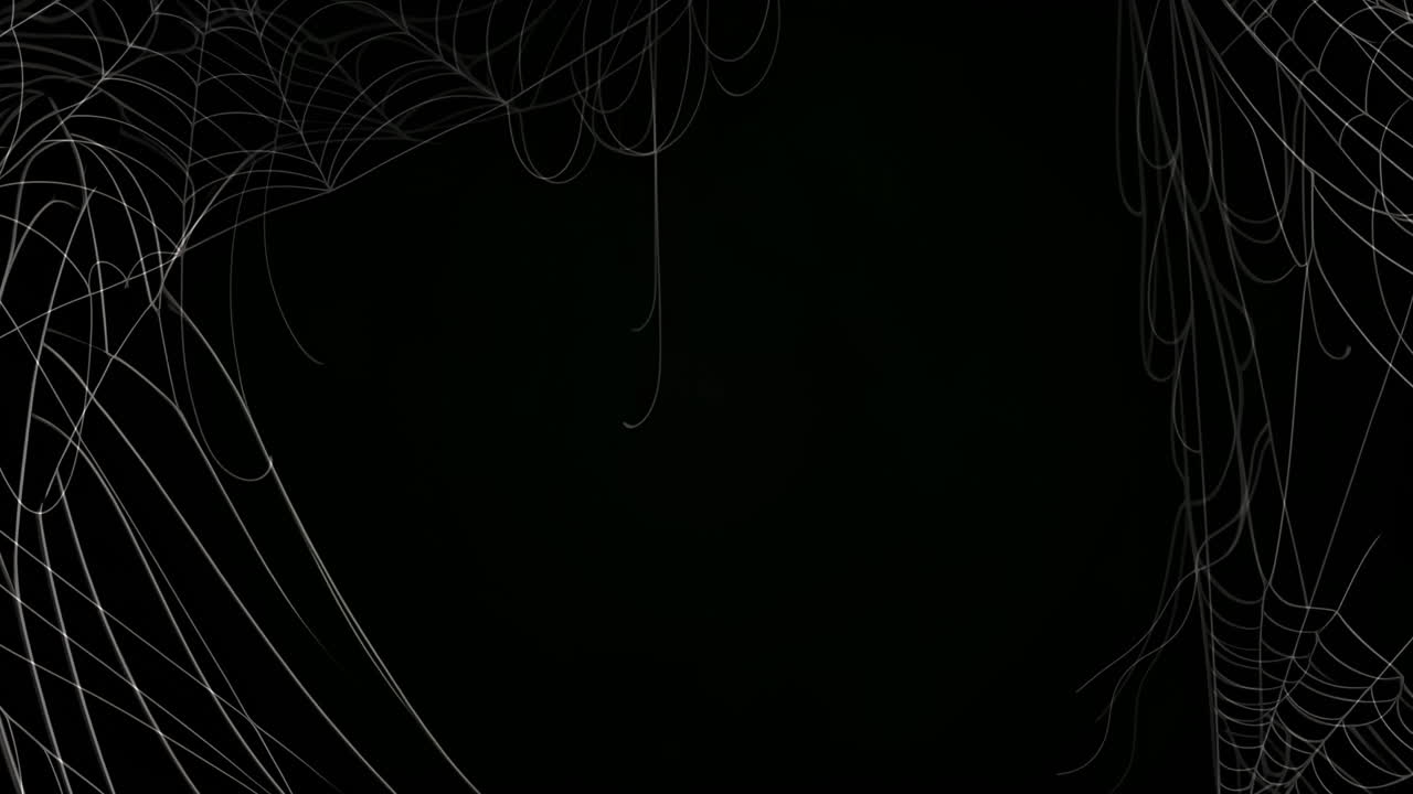 Spooky Spider Web Background