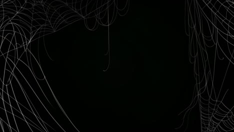 spooky spider web background